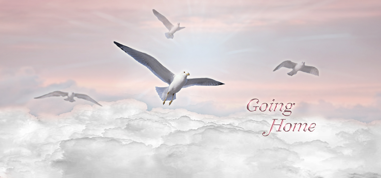 Going Home Clouds Birds Pink